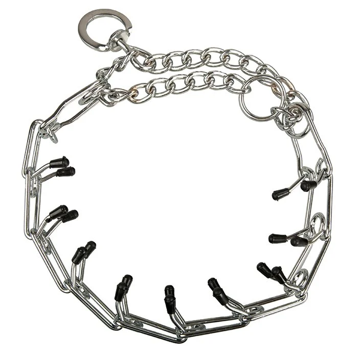 Köpek Eğitim Tasmaları