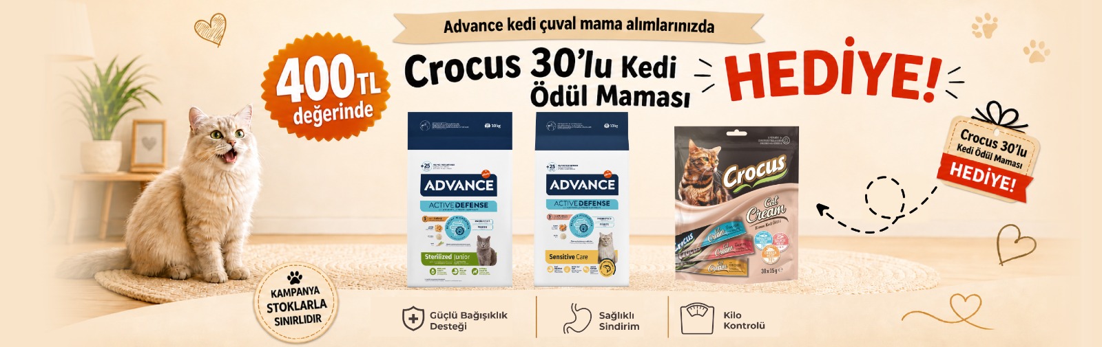 crocus hediye