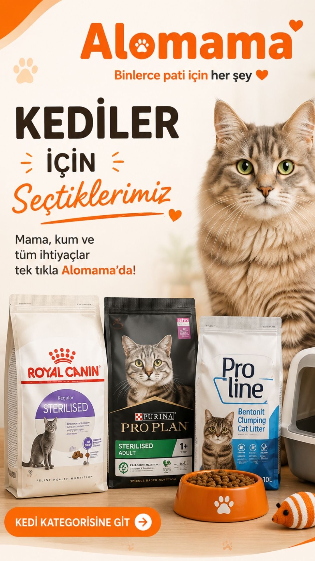 Kedi