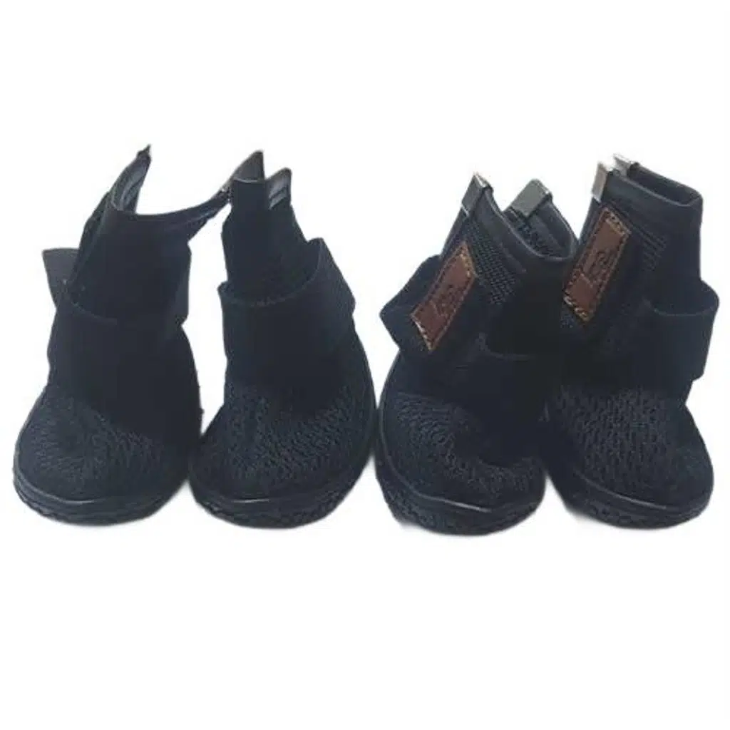 Be Lastikli siyah siyah köpek ayakkabısı 2