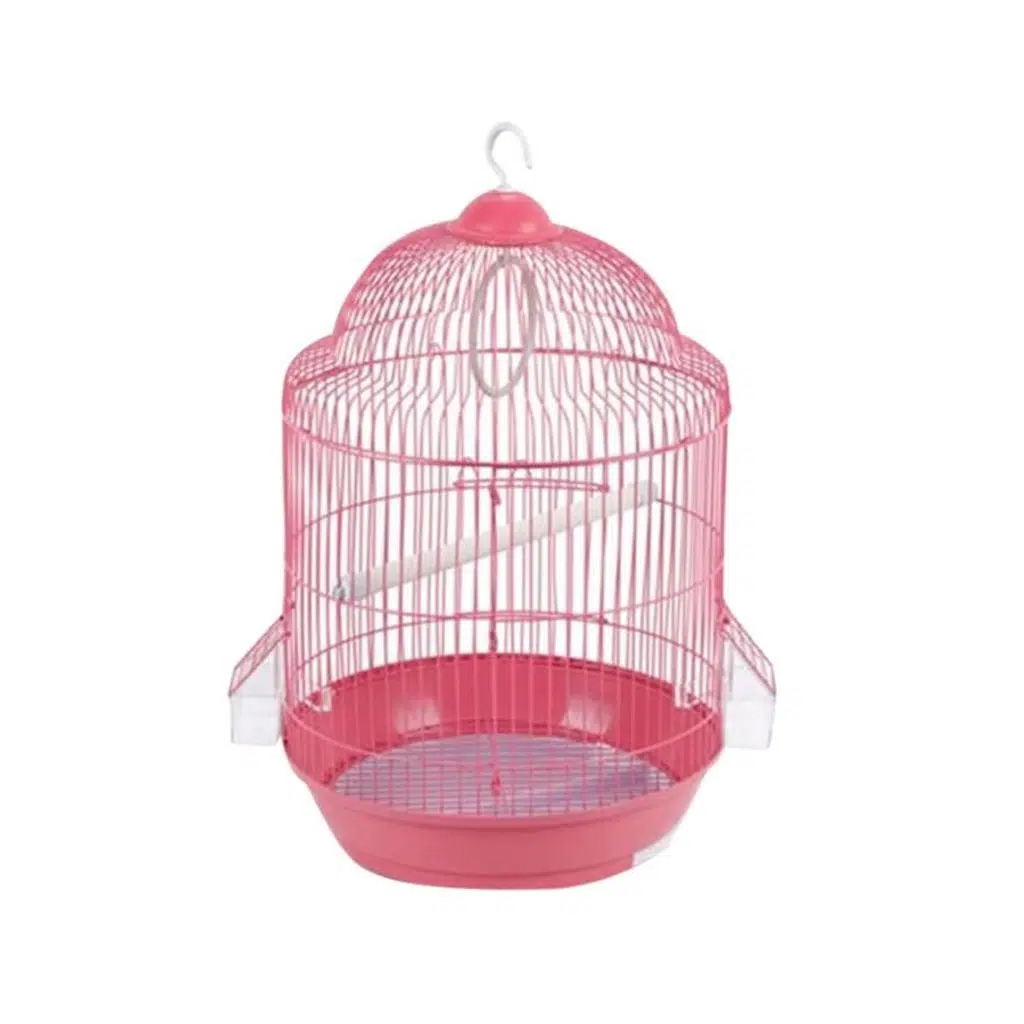 Dayang Silindir Renkli Kafes 33x50cm