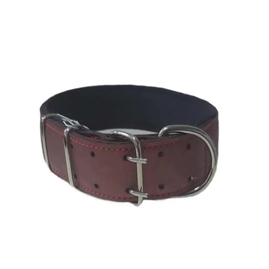 Doca Pet Köpek Boyun Tasması 5x75 cm BORDO