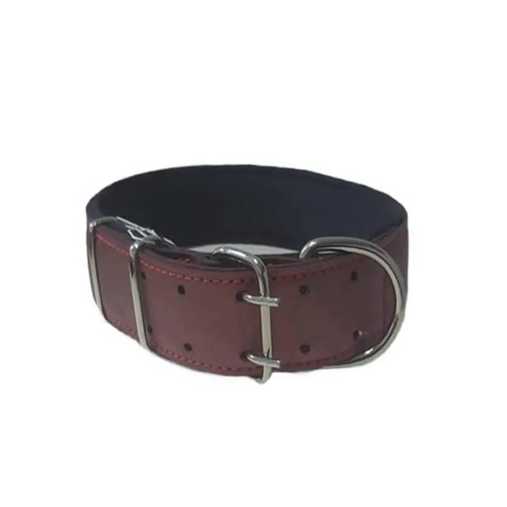 Doca Pet Köpek Boyun Tasması 5x85 cm BORDO