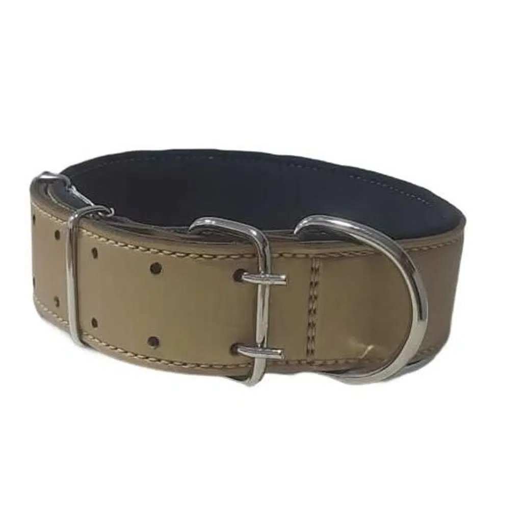 Doca Pet Köpek Boyun Tasması 5x85 cm GOLD