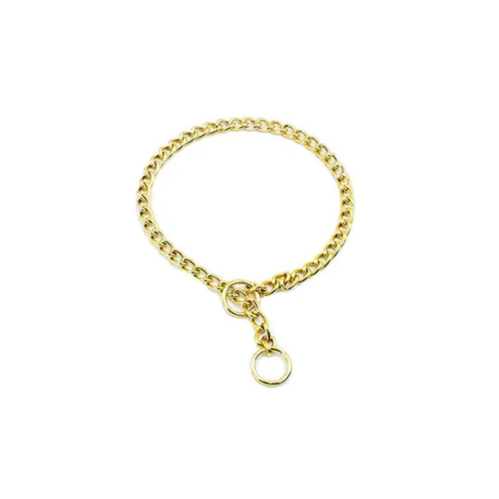 Doggie Altın Kaplama Köpek Boyun Tasması