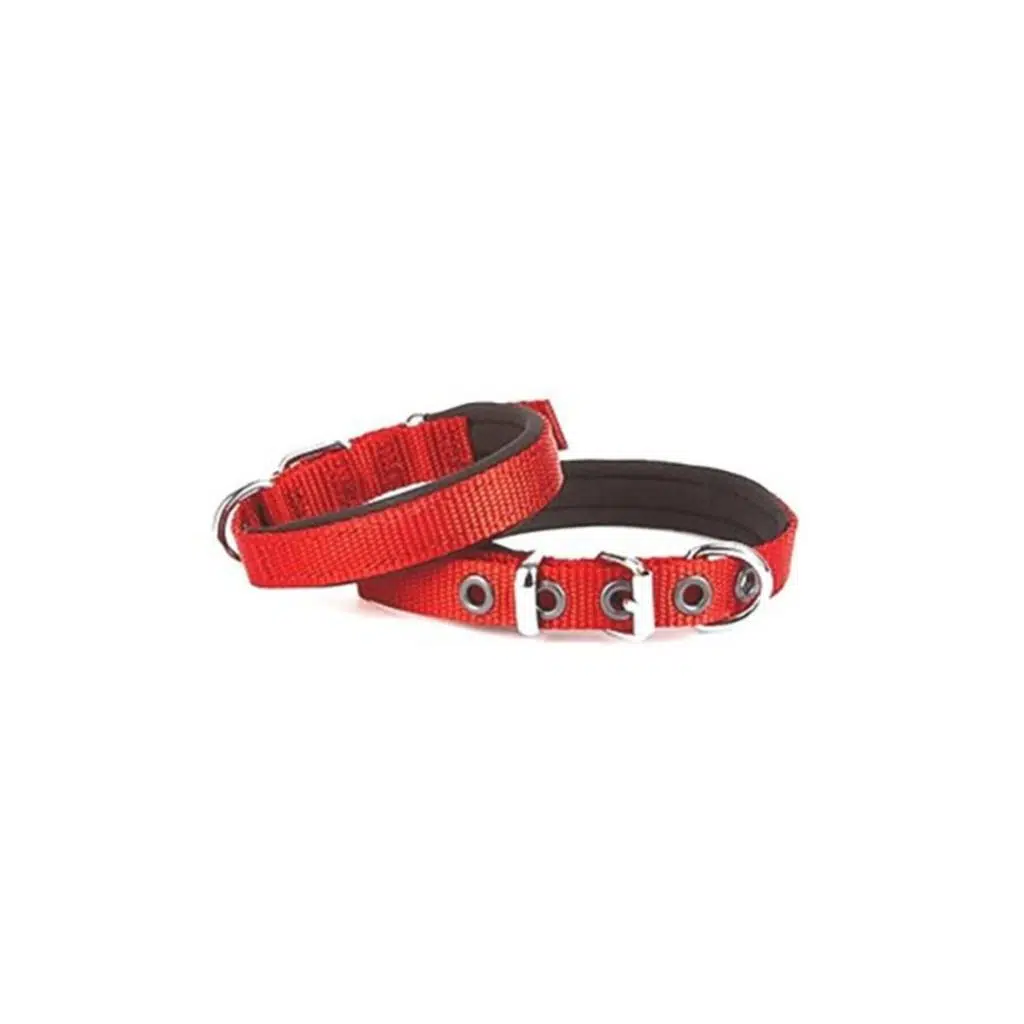Doggıe DSBT Dokuma Sade Boyun Tasması-M/KIRMIZI