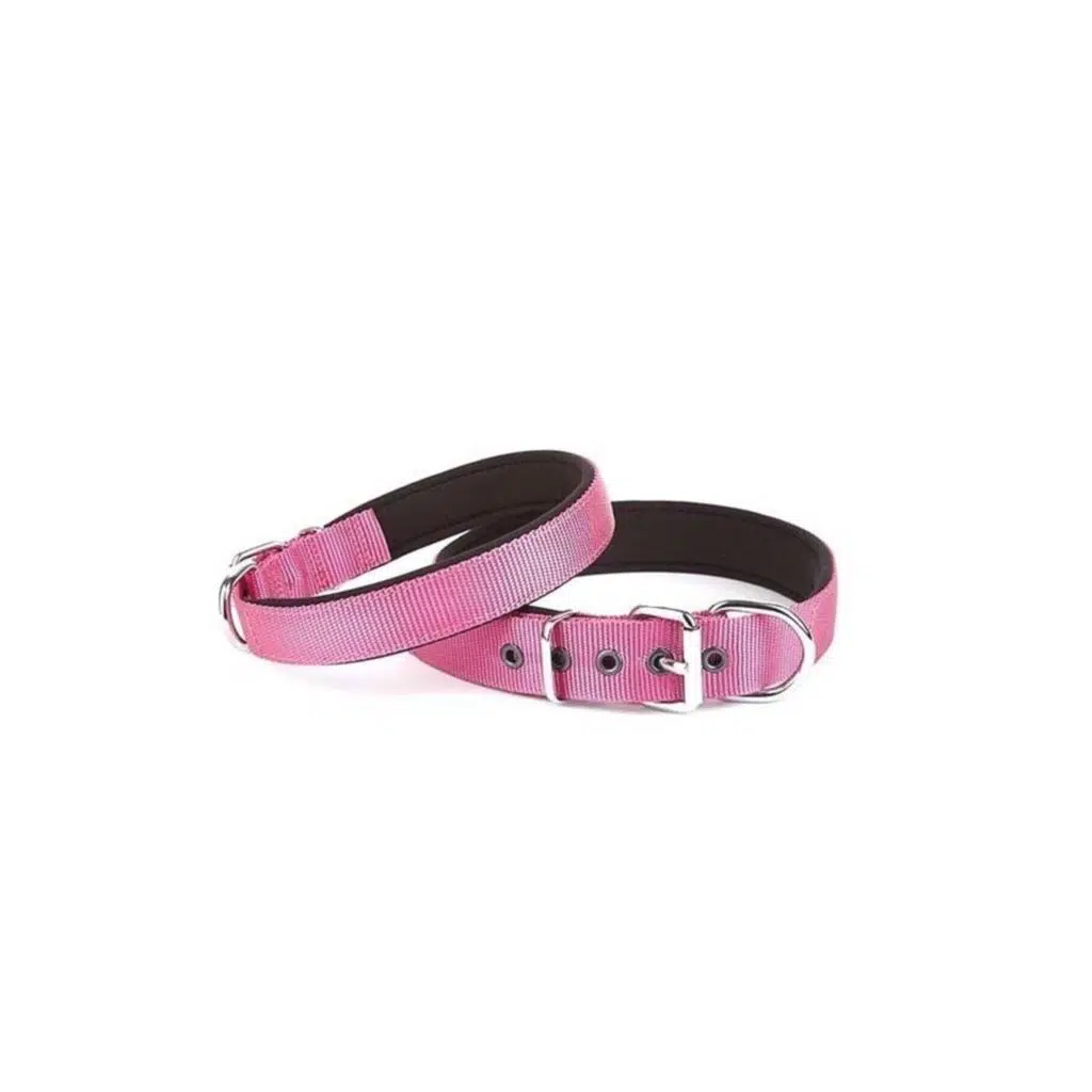 Doggıe DSBT Dokuma Sade Boyun Tasması L/MOR