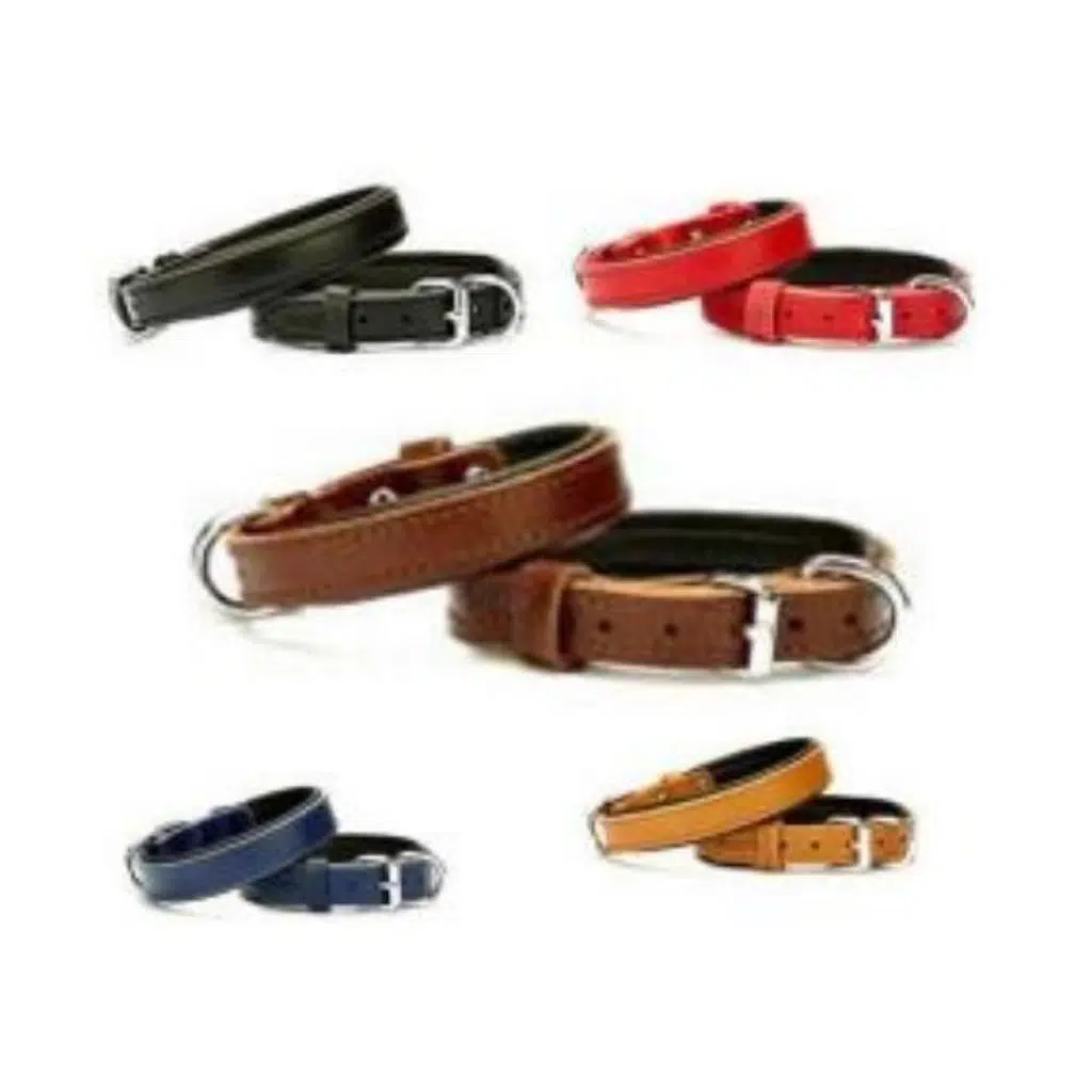 Doggie SBT Sade Deri Boyun Tasması S/Royal