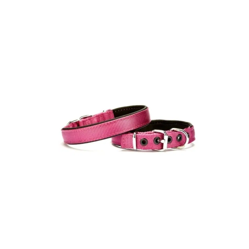 Doggıe DSBT Dokuma Sade Boyun Tasması S/MOR