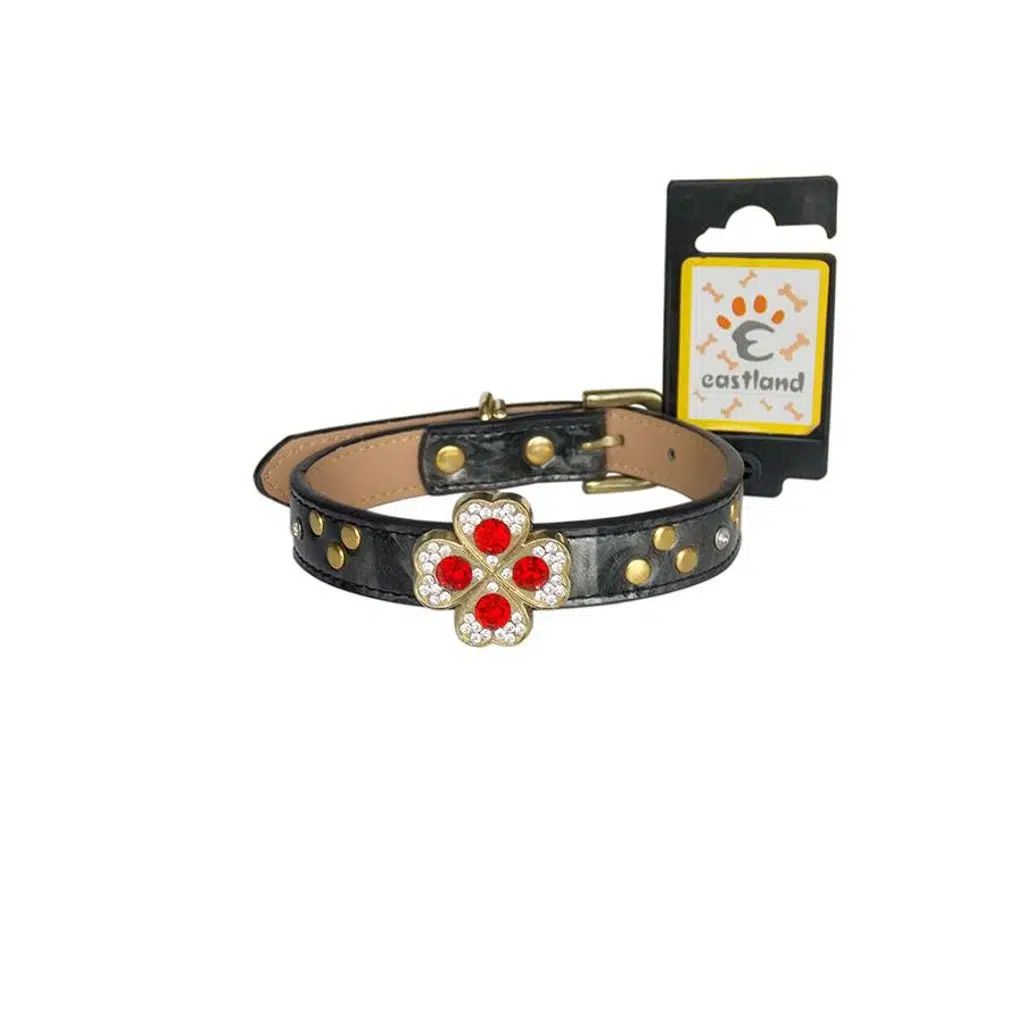 Eastland Çiçek Taşlı Deri Boyun Tasma-40cm