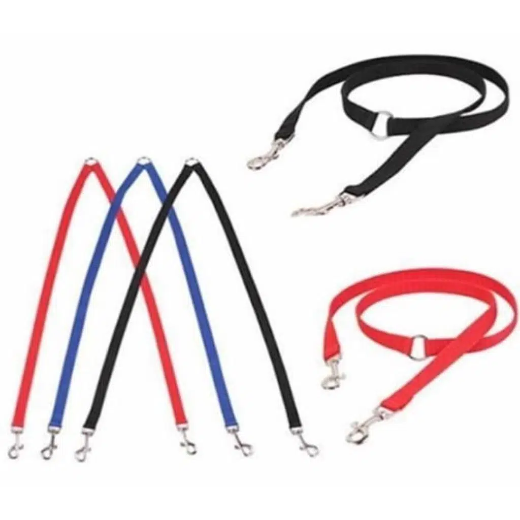 Gees Çift Köpek Gezdirme Kayışı MAVİ