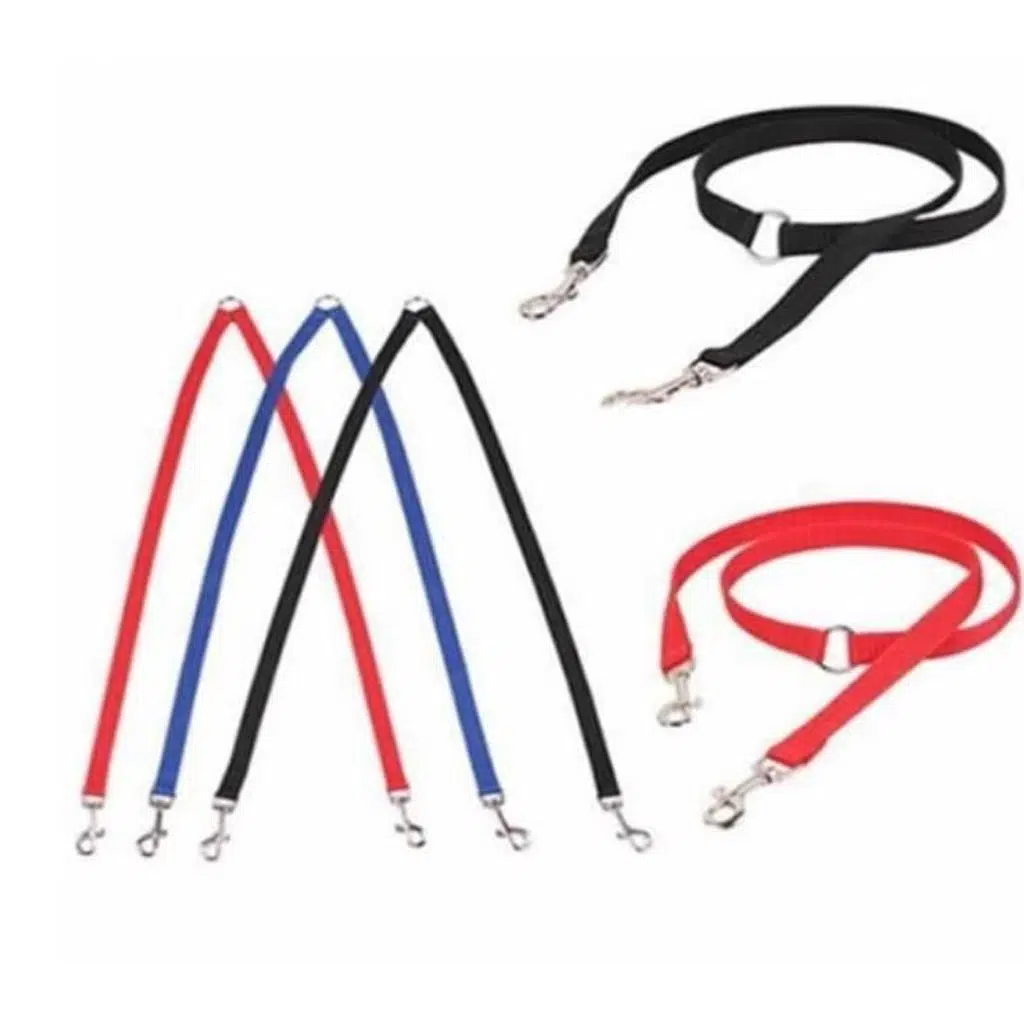 Gees Çift Köpek Gezdirme Kayışı TURUNCU