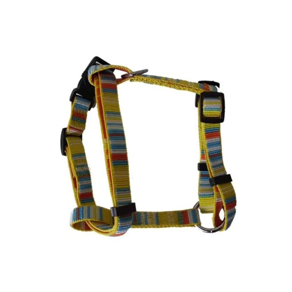 Göğüs Tasması Takım S