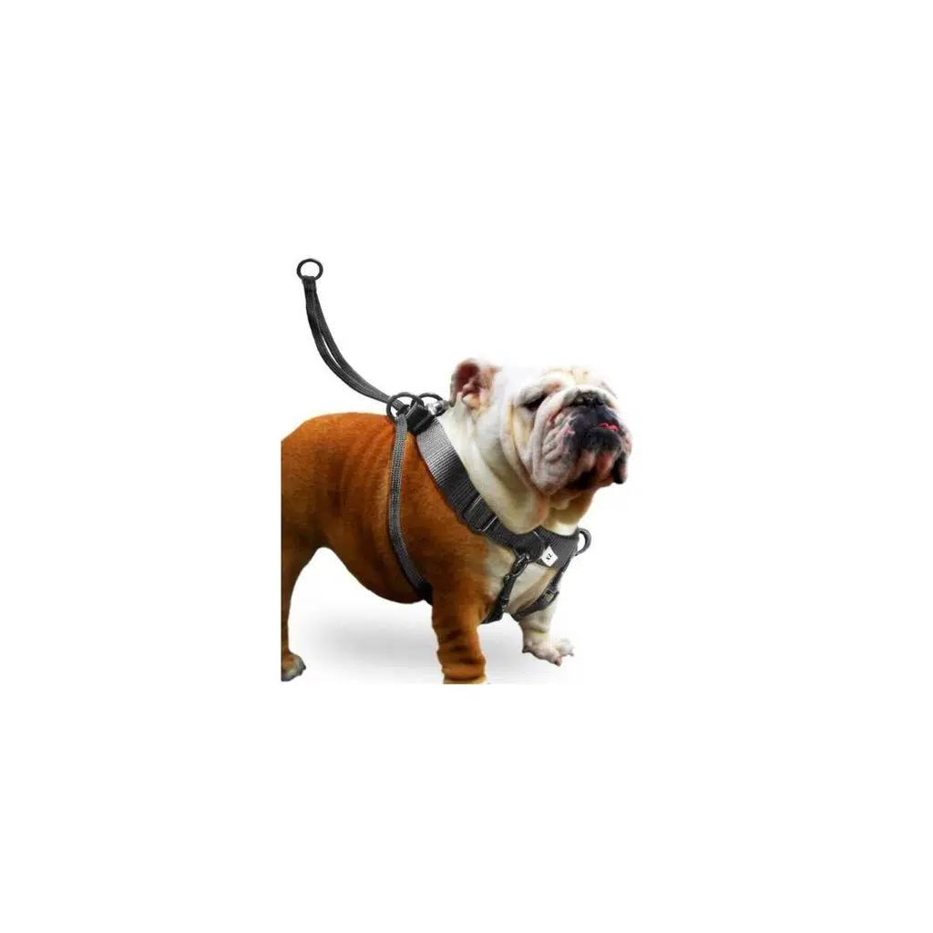 Karlıe Easy Walker Göğüs Tasma 52*84 Cm Xlarge