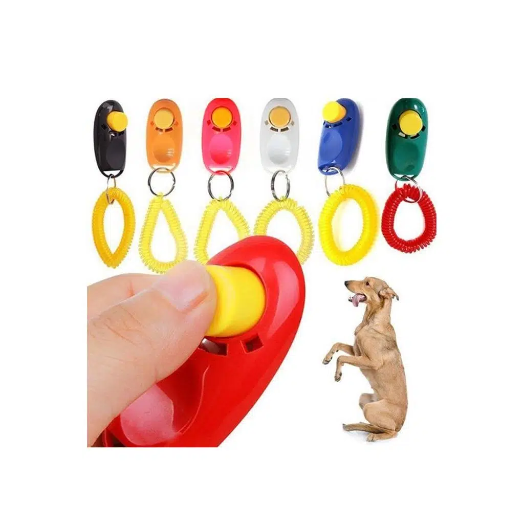 Lion Clikker Köpek Eğitimi Aparatı