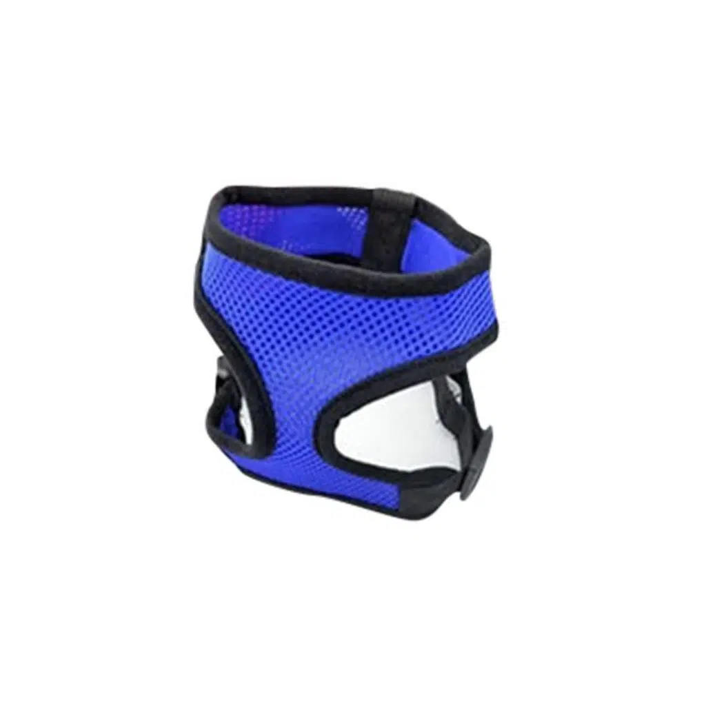 Lion file göğüs tasması-M