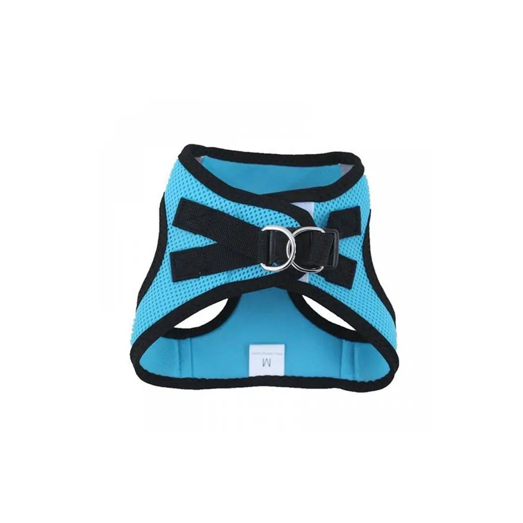 Lion HY Göğüs tasması M