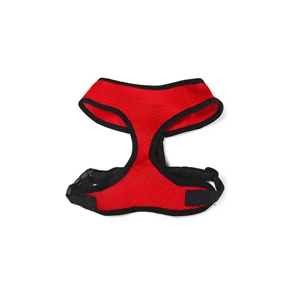 Lion Yumuşak Göğüs Tasması-L