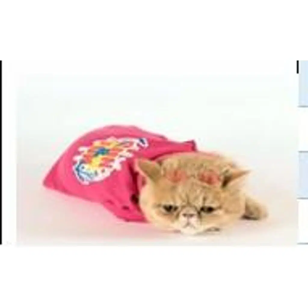 Maxdesing Lacoste Tshirt XL Pembe