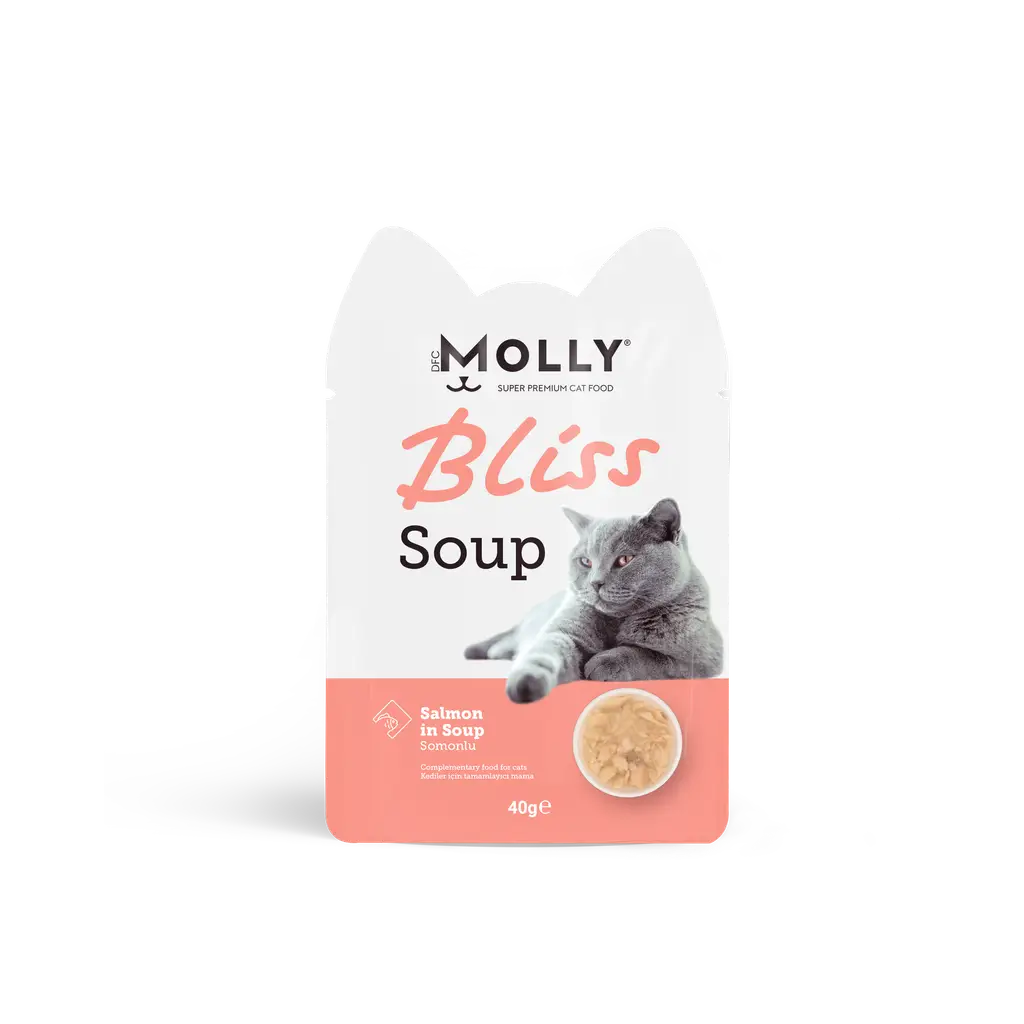 Molly Bliss Somonlu Kedi Çorbası 40 gr