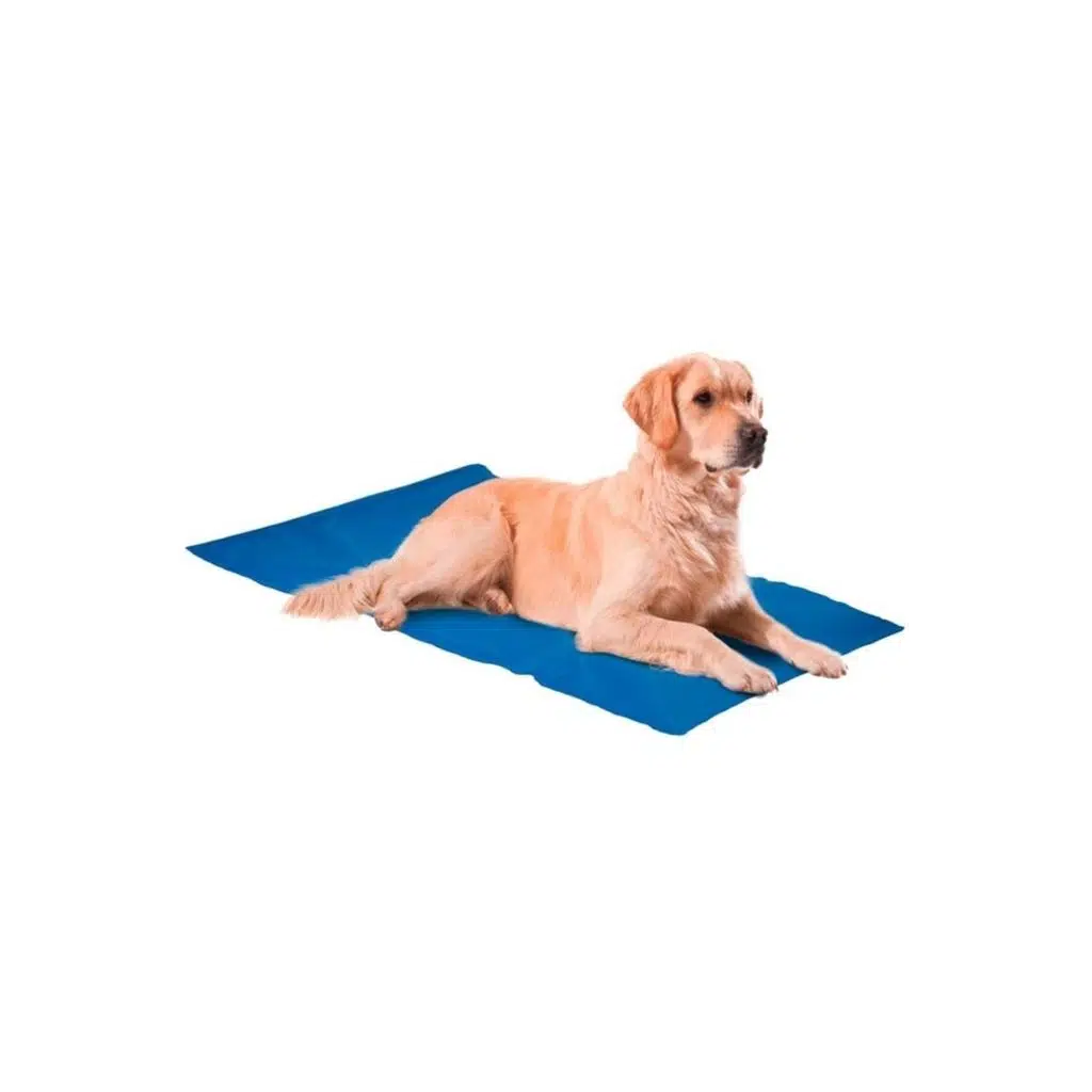 Nunbell Kedi Köpek Soğutucu Mat Yatak 50x90 cm