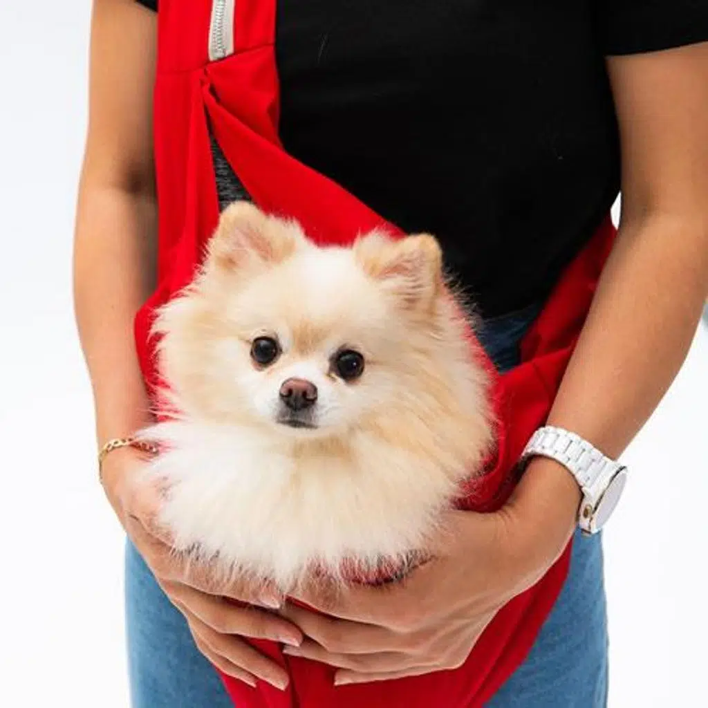 Pawstar Kırmızı Crossbody Ana Kucagı Çanta