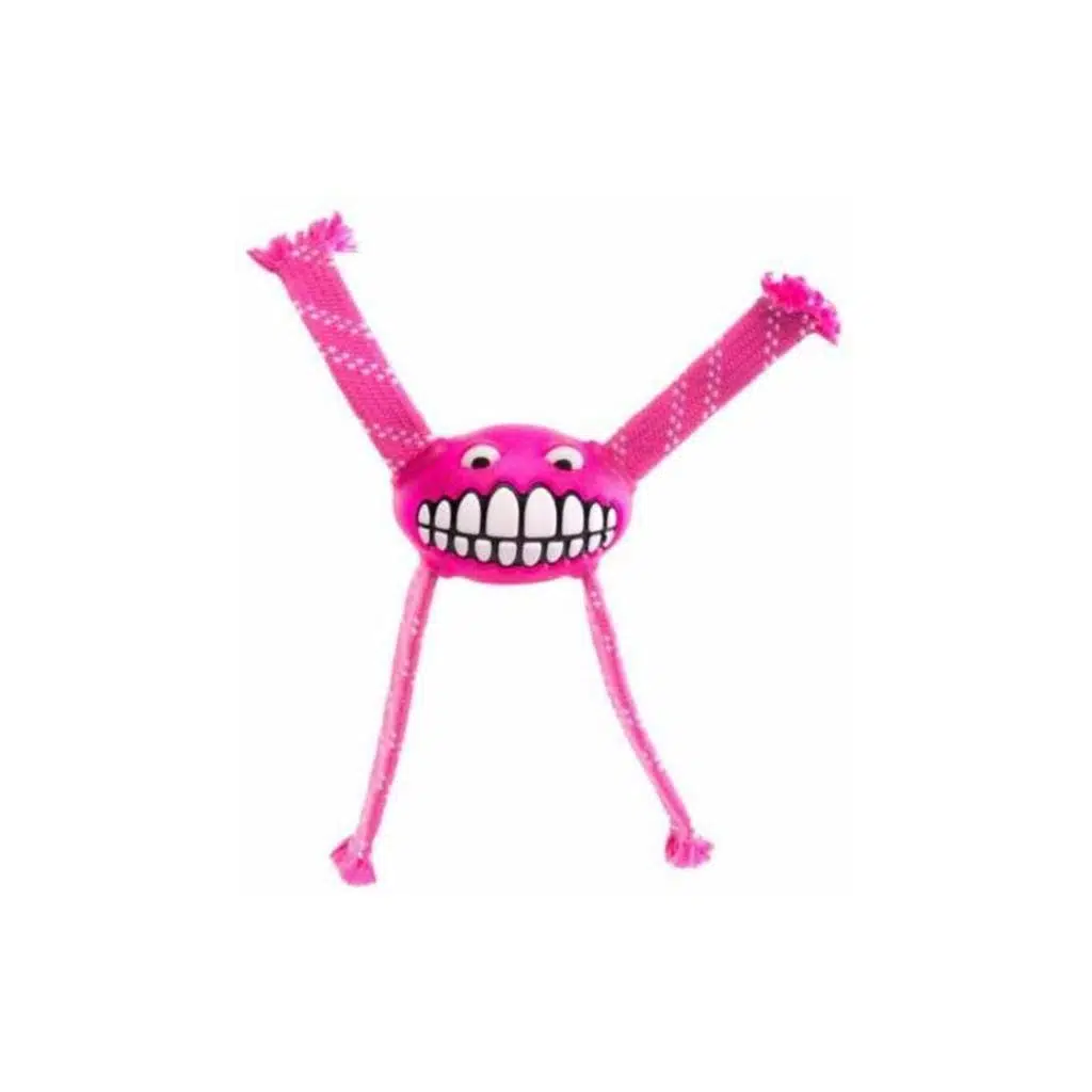 Rogz Flossy Grinz Sesli Köpek Oyuncak 21 cm PINK