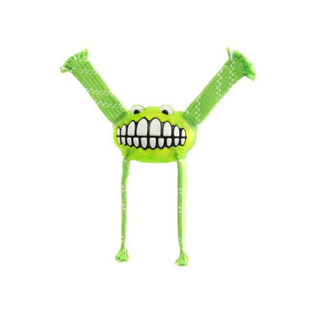 Rogz Flossy Grinz Sesli Köpek Oyuncak 21 cm LİME