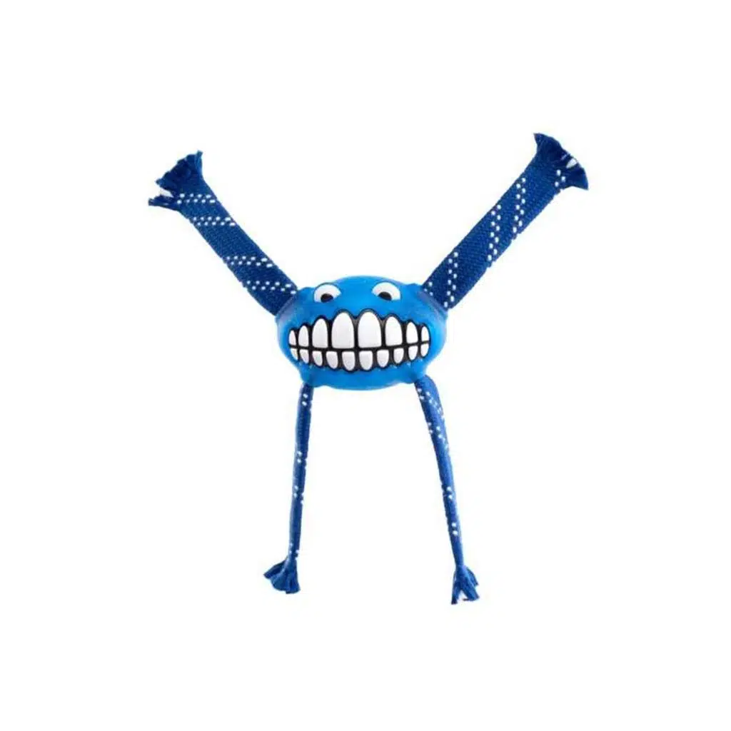 Rogz Flossy Grinz Sesli Köpek Oyuncak 21 cm BLUE