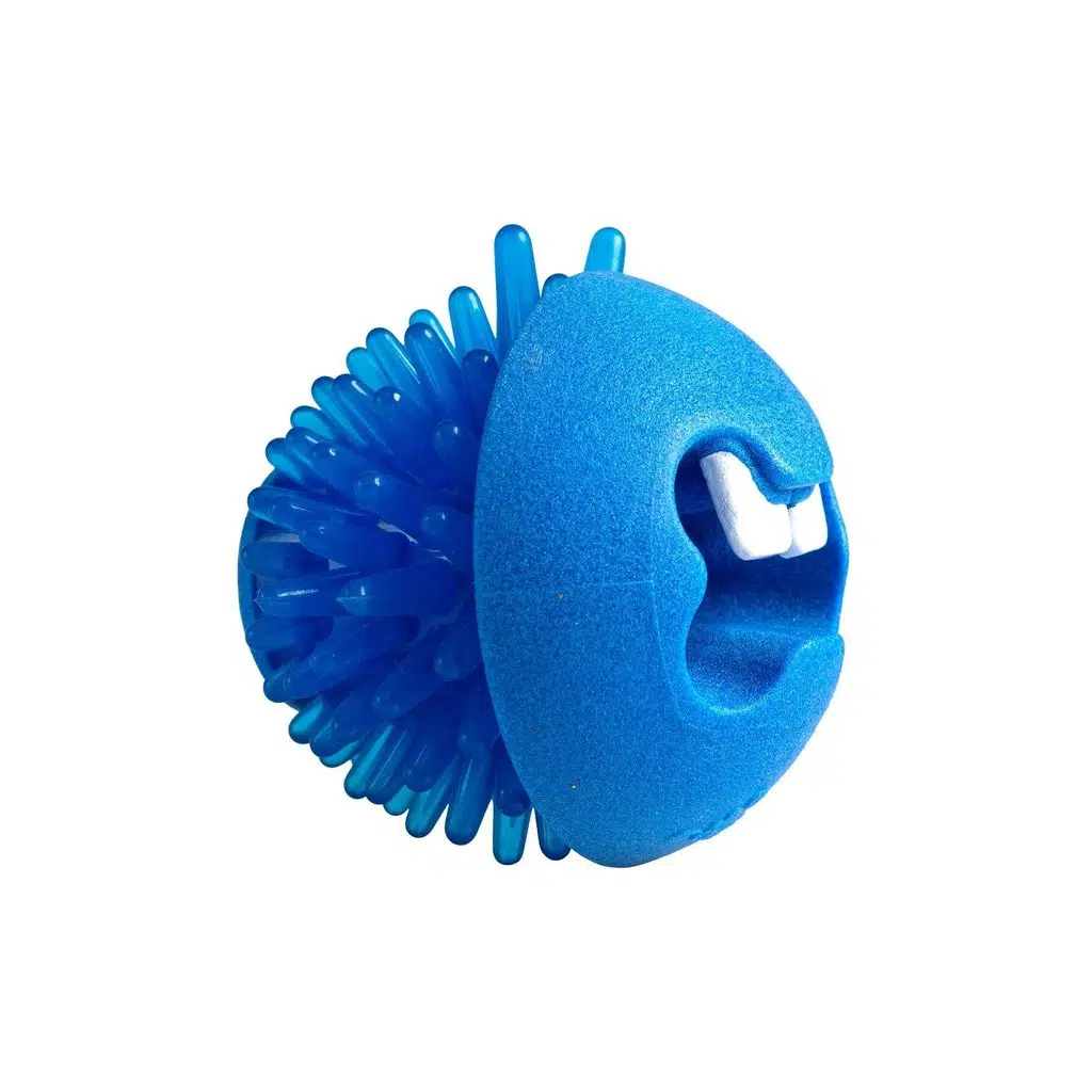 Rogz Toyz Fred Traktatiebel Köpek Oyuncağı 6,4 Cm BLUE