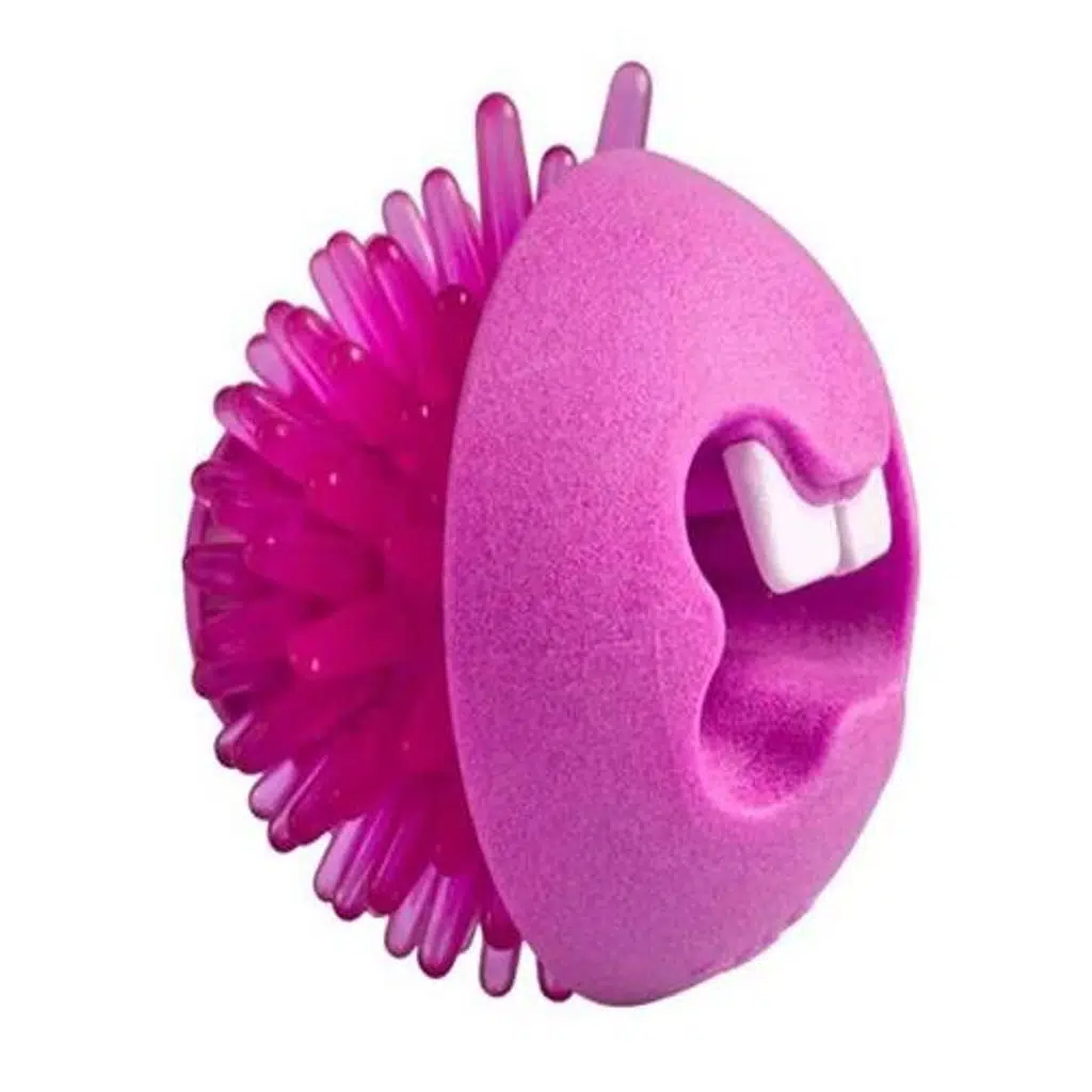 Rogz Toyz Fred Traktatiebel Köpek Oyuncağı 6,4 Cm PINK