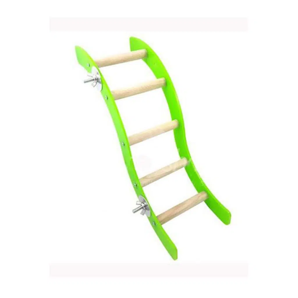 Rotipet Kuş Oyuncağı Papağan Akrilik Merdiven 36 CM