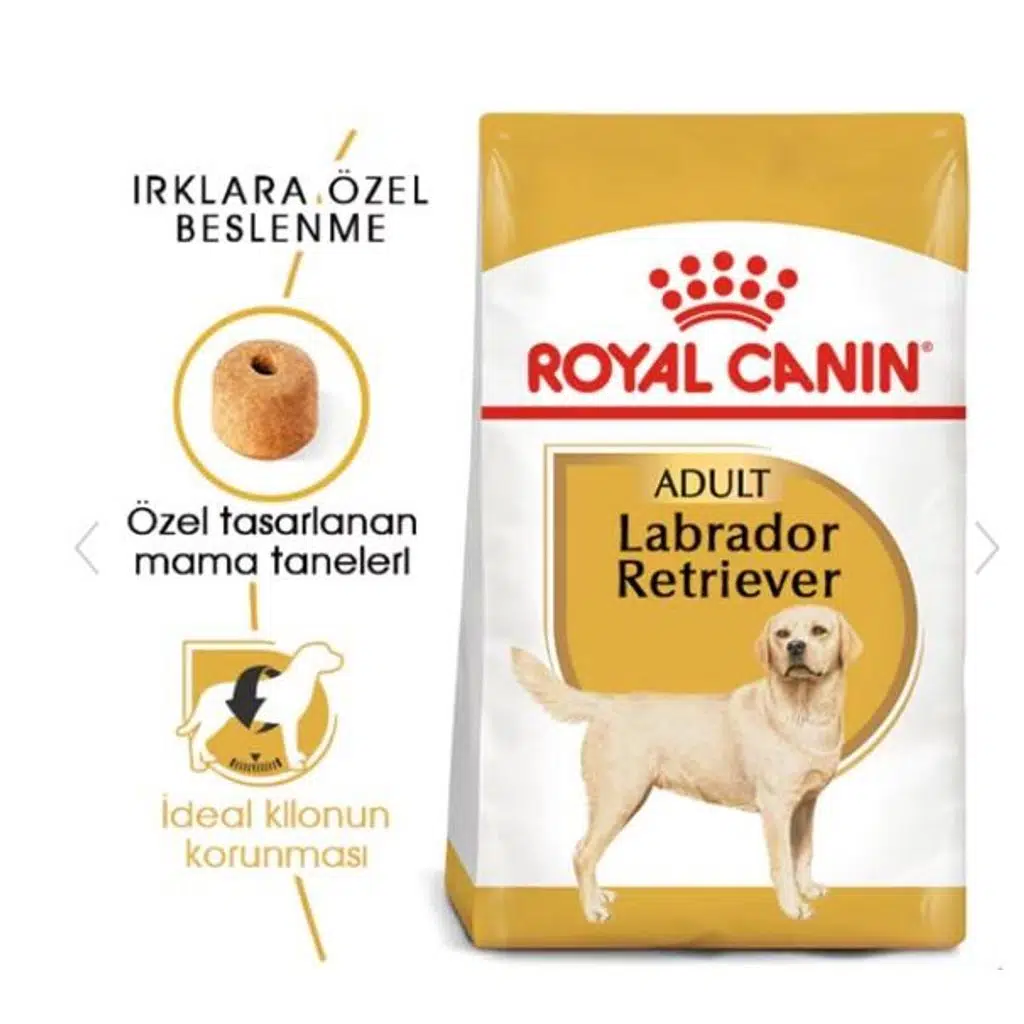 Royal Canin Labrador Retriever Yetişkin Köpek Maması 12kg