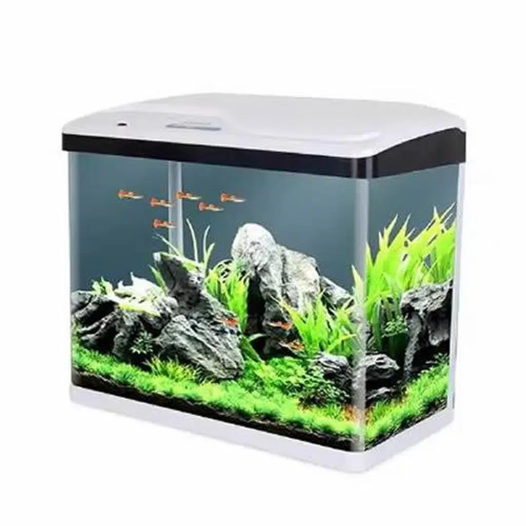 Sobo 300F Komple Akvaryum 30x19x33,5 cm Beyaz