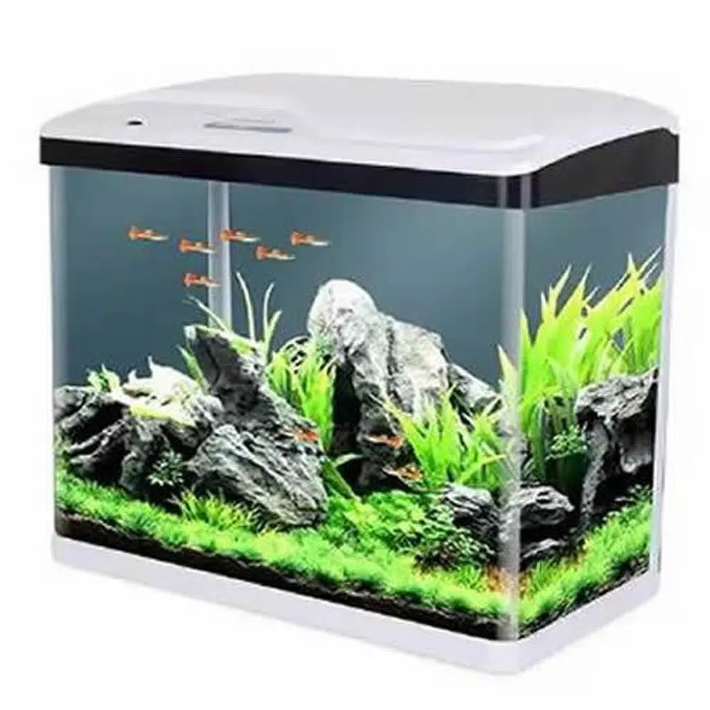 Sobo 400F Komple Akvaryum 39x19x44 cm Beyaz