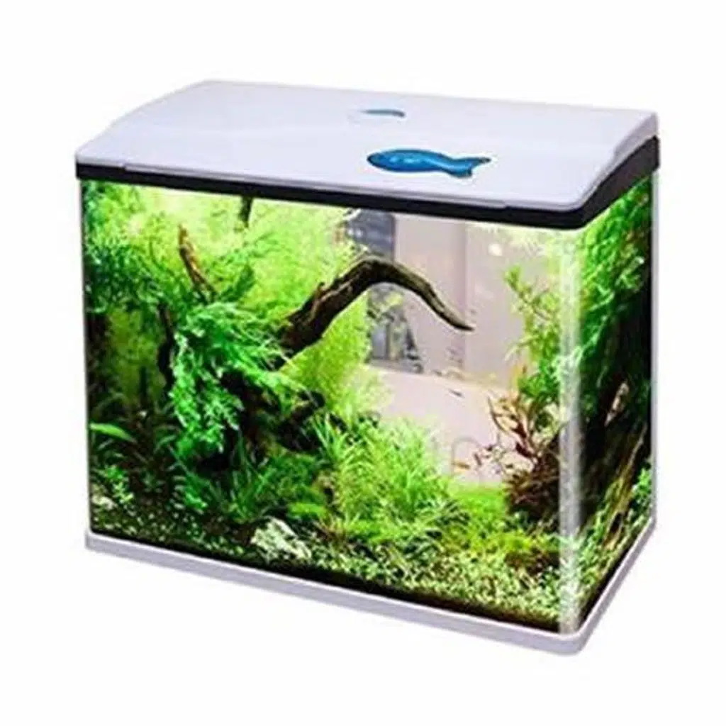 Sobo 750F Komple Akvaryum 60x30x51 Cm Beyaz