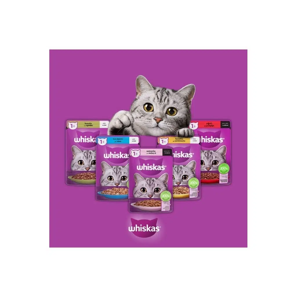 Whiskas Super karisik mega paket kedi mamasi 24 Adet