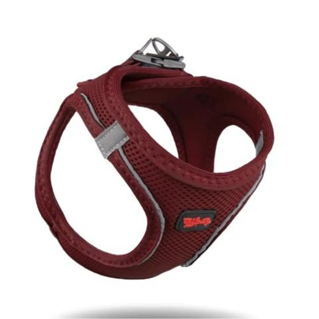 Tailpetz Air Mesh Göğüs Tasması Bordo-XS