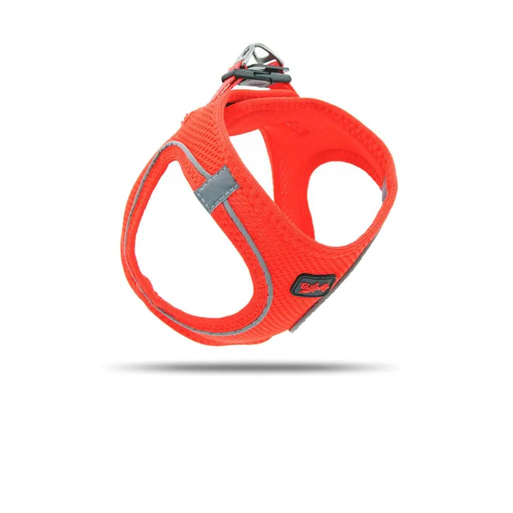 Tailpetz Air Mesh Göğüs Tasması GARNET M