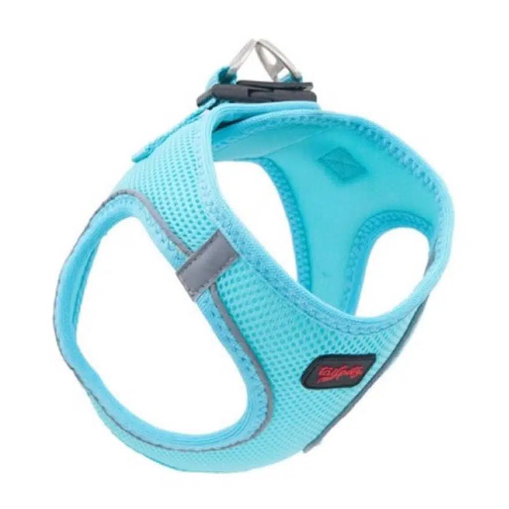 Tailpetz Air Mesh Göğüs Tasması TURKUAZ-S 