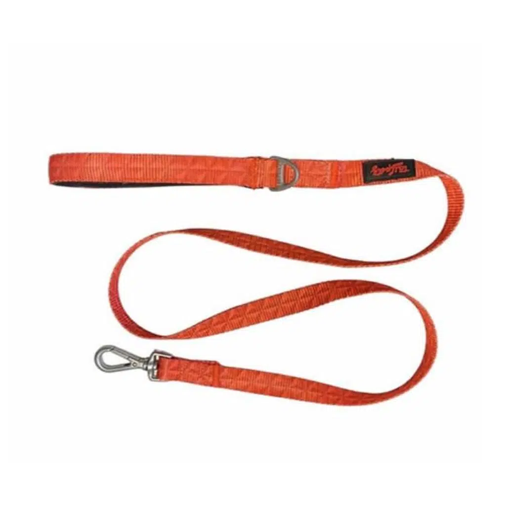 Tailpetz Prism Leash Sevk Kayışı M