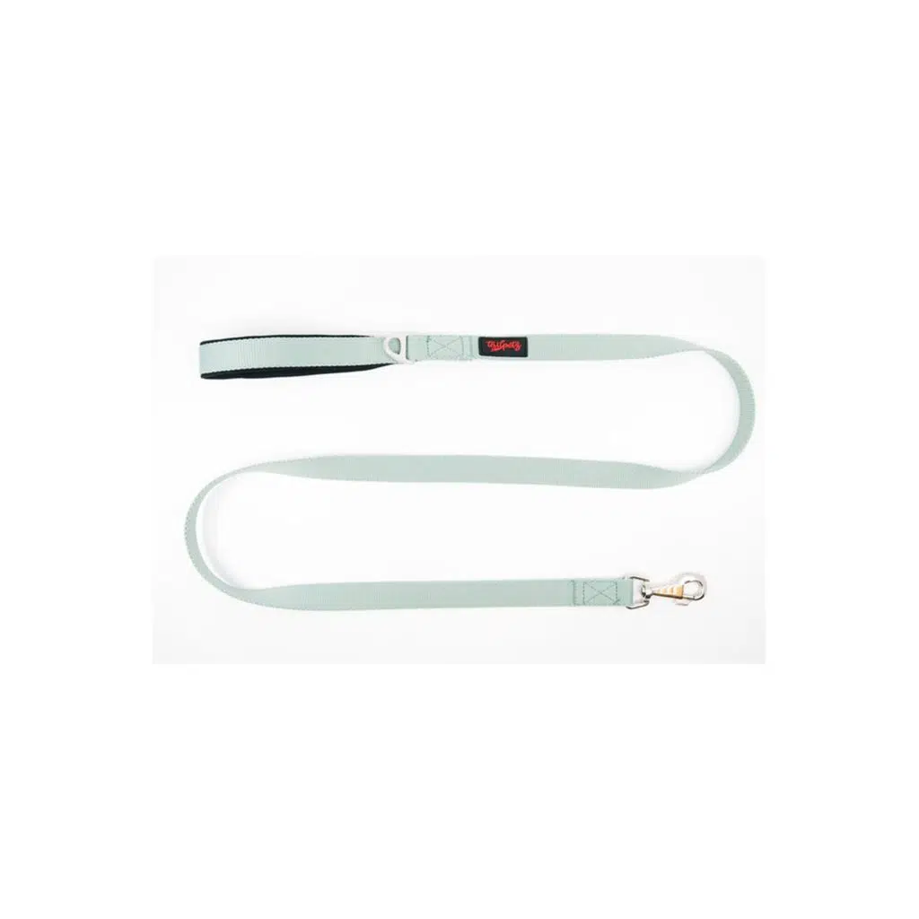 Tailpetz Sevk Kayışı Moon Match Leash M