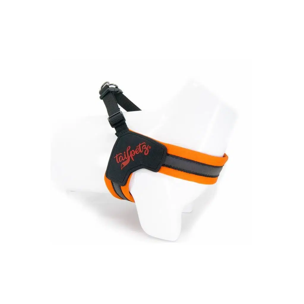 Tailpetz V-Harness N.Orange Göğüs Tasması L