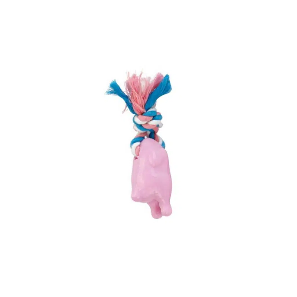 Beeztees Tpr tavuk-halat oyuncak 16 cm