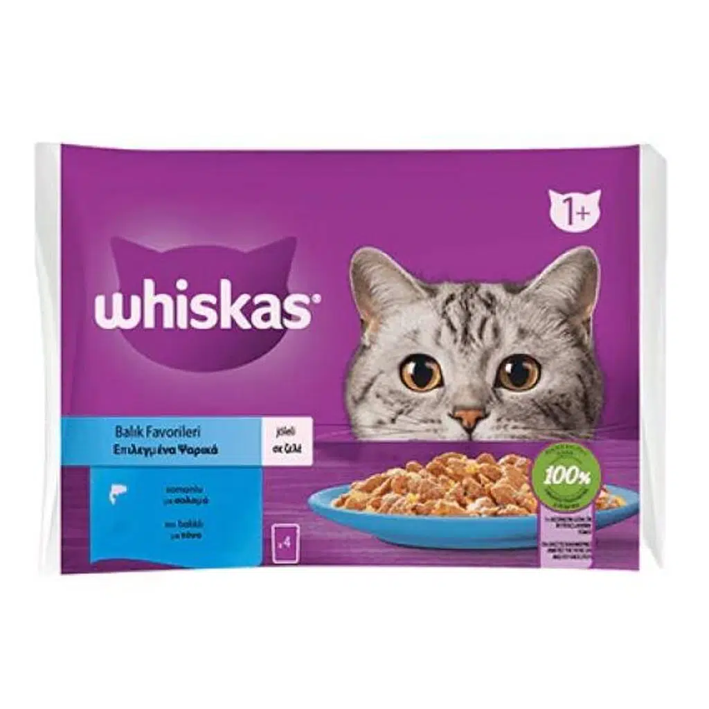 Whiskas Pouch Jöle İçinde Somonlu/Ton Balıklı Kedi Konservesi 85gr ( 4´lü )