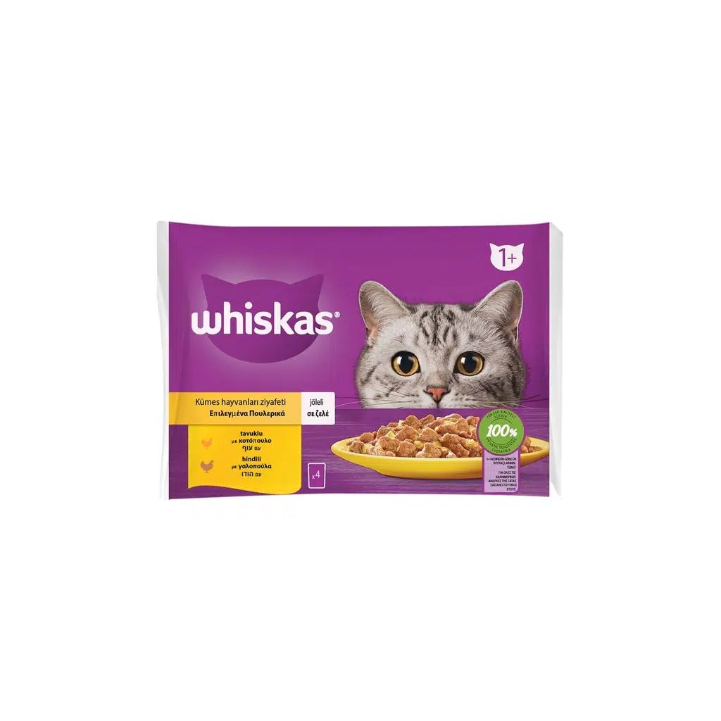 Whiskas Pouch Jöle İçinde Tavuklu/Hindili Kedi Konservesi 85gr (4 lü )