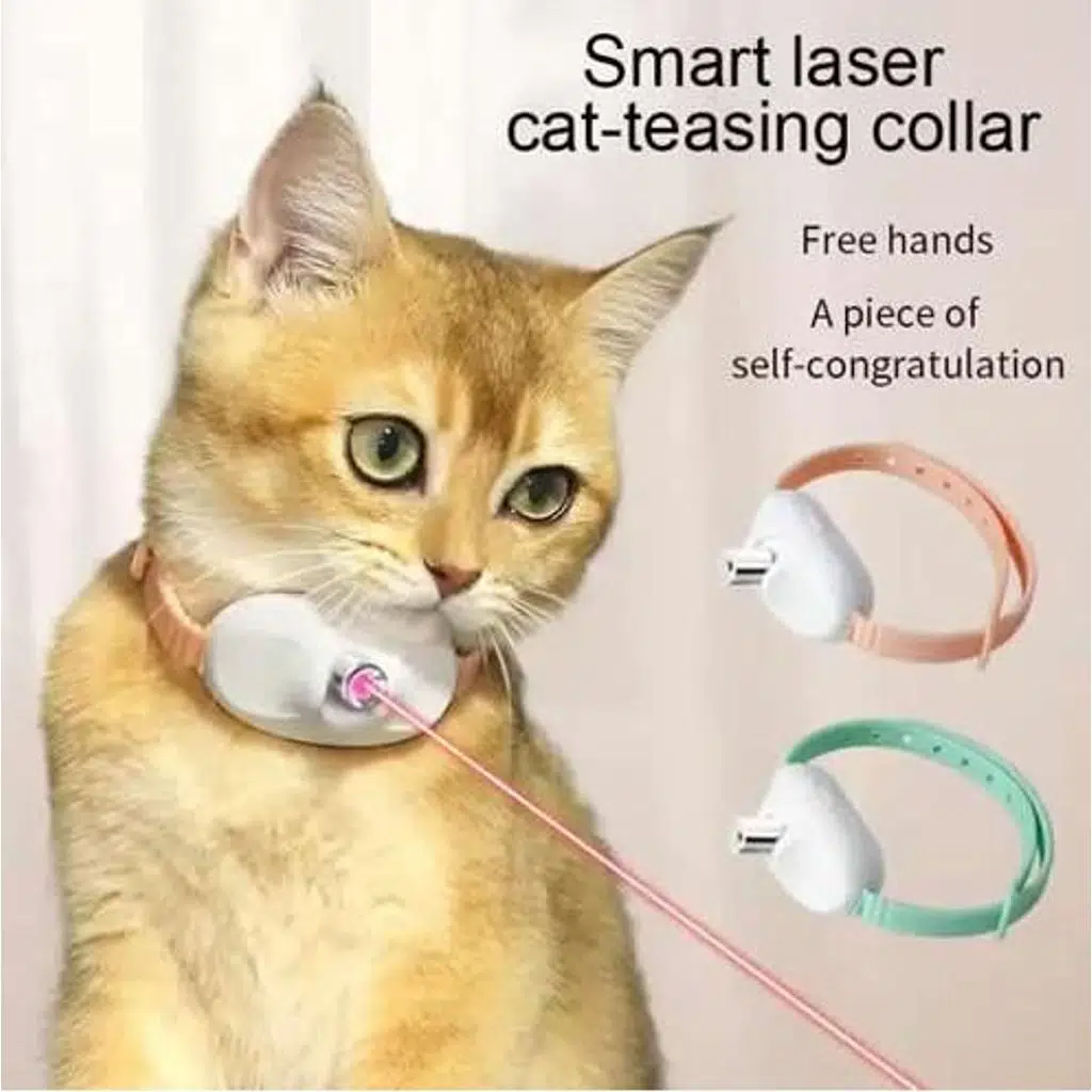 Şarjlı Lazerli Kedi Tasması 10 cm